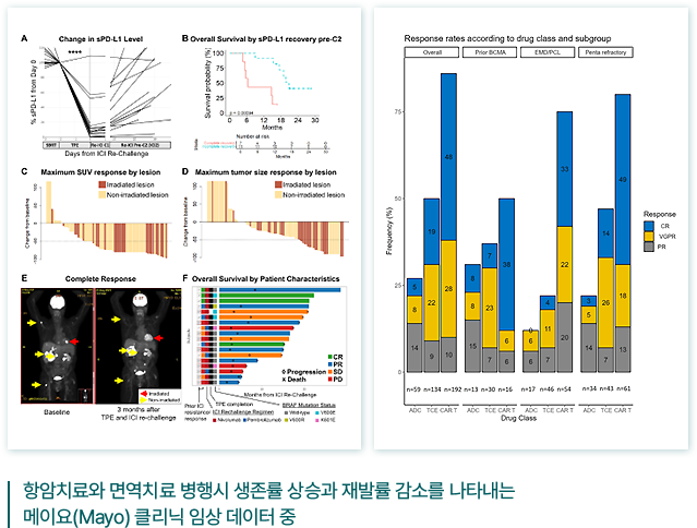 항암치료와 면역치료 병행시 생존률 상승과 재발률 감소를 나타내는 메이요(Mayo) 클리닉 임상 데이터 중