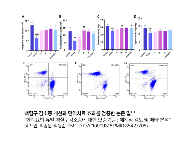 백혈구 감소증 개선과 면역치료 효과를 검증한 논문 일부 - “화학요법 유발 백혈구감소증에 대한 보중기탕 : 체계적 검토 및 메타 분석”(리브안, 박송원, 최동준. PMCID:PMC10909318 PMID:38427798)