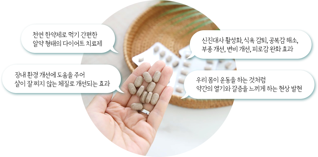 천연 한약제로 먹기 간편한 알약 형태의 다이어트 치료제 / 신진대사 활성화, 식욕 감퇴, 공복감 해소, 부종 개선, 변비 개선, 피로감 완화 효과 / 장내 환경 개선에 도움을 주어 살이 잘 찌지 않는 체질로 개선되는 효과 / 우리 몸이 운동을 하는 것처럼 약간의 열기와 갈증을 느끼게 하는 현상 발현
