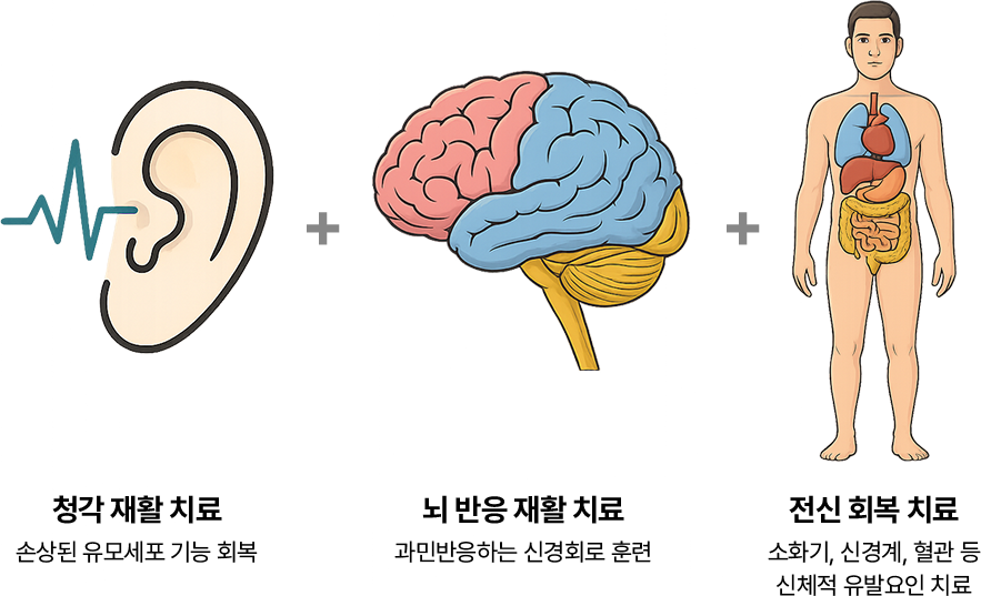 청각 재활 치료 : 손상된 유모세포 기능 회복 + 뇌 반응 재활 치료 : 과민반응하는 신경회로 훈련 + 전신 회복 치료 : 소화기, 신경계, 혈관 등 신체적 유발요인 치료